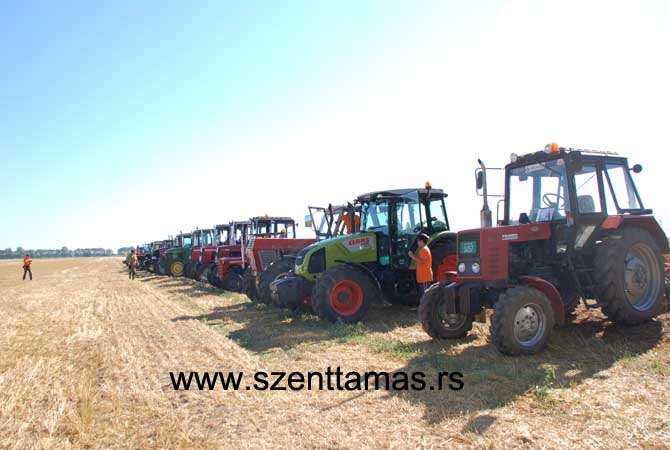 szenttamasi_barazda_2015_aug_1_kepek_2